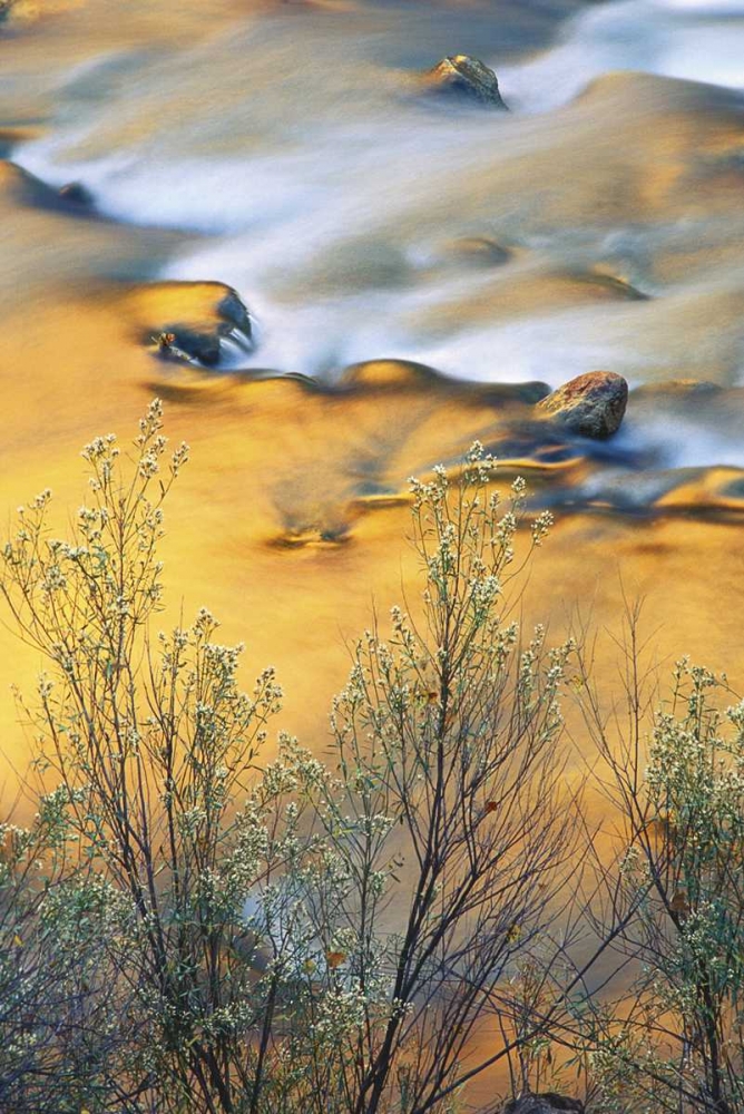 UT, Zion NP, Virgin River With Canyon Reflections art print by Nancy Rotenberg for $57.95 CAD